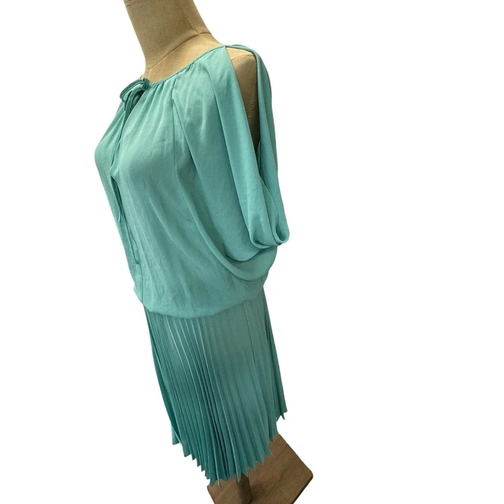 NWT!!, "LONA"Sage Green Dress, Pleated,Crinkled, Slit Sleeve, Fairy,Flowing - Picture 3 of 13